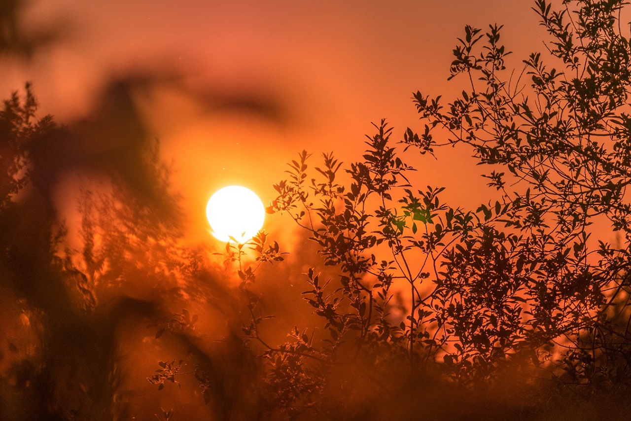 Stay cool: Moldova issues yellow heat alert for August 22-23