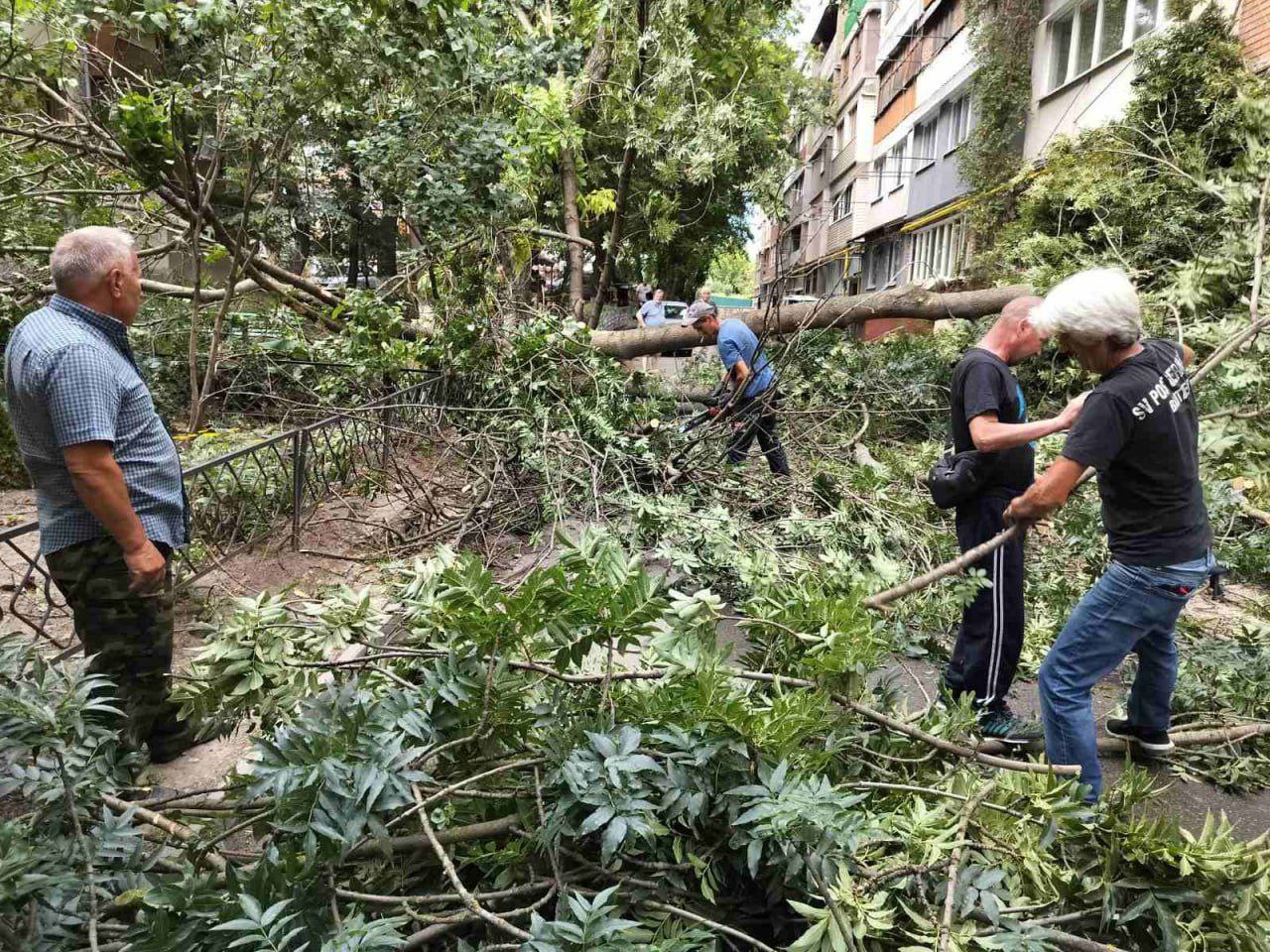 Copaci căzuți peste conducte de gaze sau drumuri: intervenții în Chișinău, Bălți și Soroca, după vântul puternic din 6 august