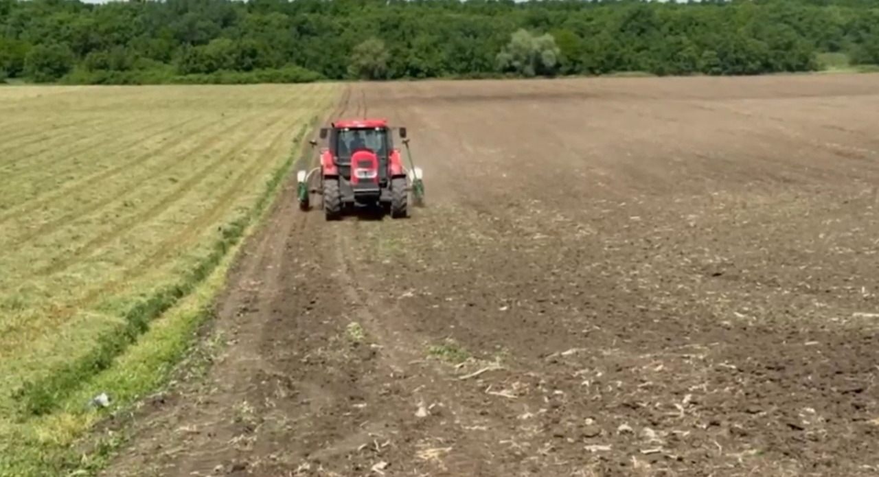 Curajul de a inova: un agricultor din Criuleni mizează pe cânepa industrială