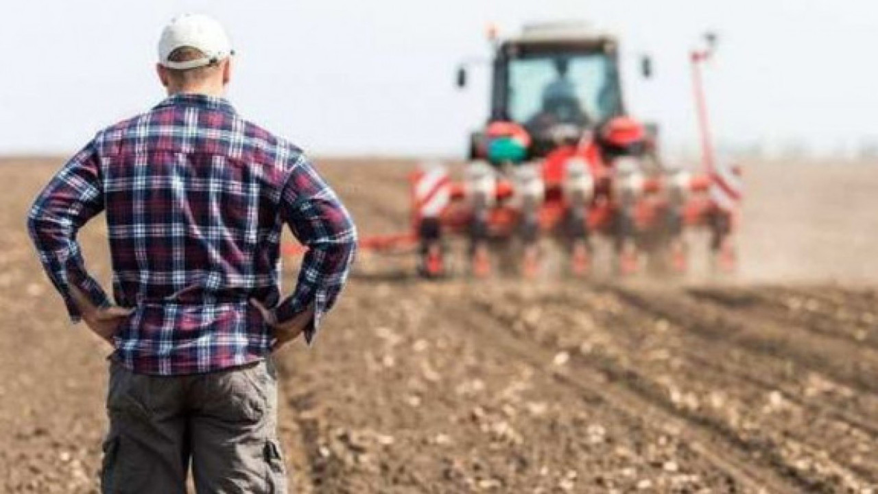 The agricultural sector, affected by the war in Ukraine and the drought of 2022. The wheat harvest was 47% lower