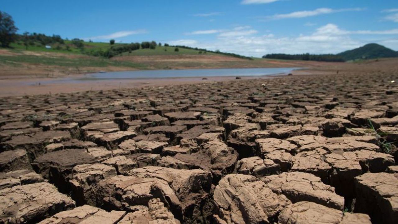 Agricultorii au depus 345 de cereri pentru compensarea recoltelor compromise în vara anului 2025
