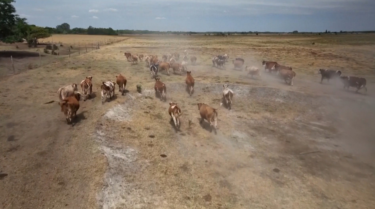 Europe's extreme drought puts €180 billion at risk