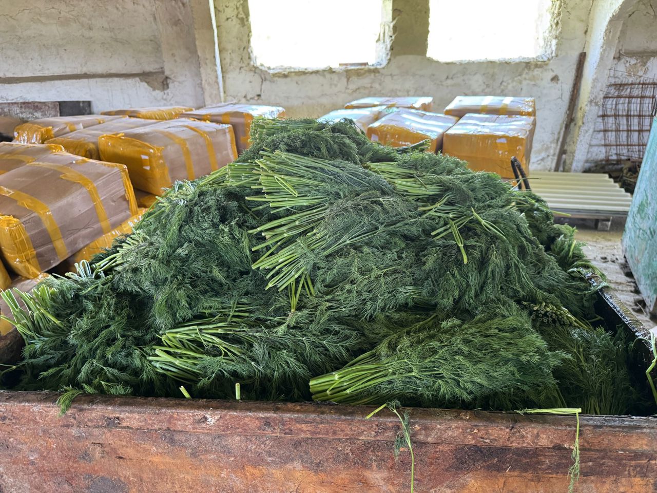 Zece tone de mărar contaminat cu pesticide, nimicite de ANSA: Produsele nu au ajuns pe piață