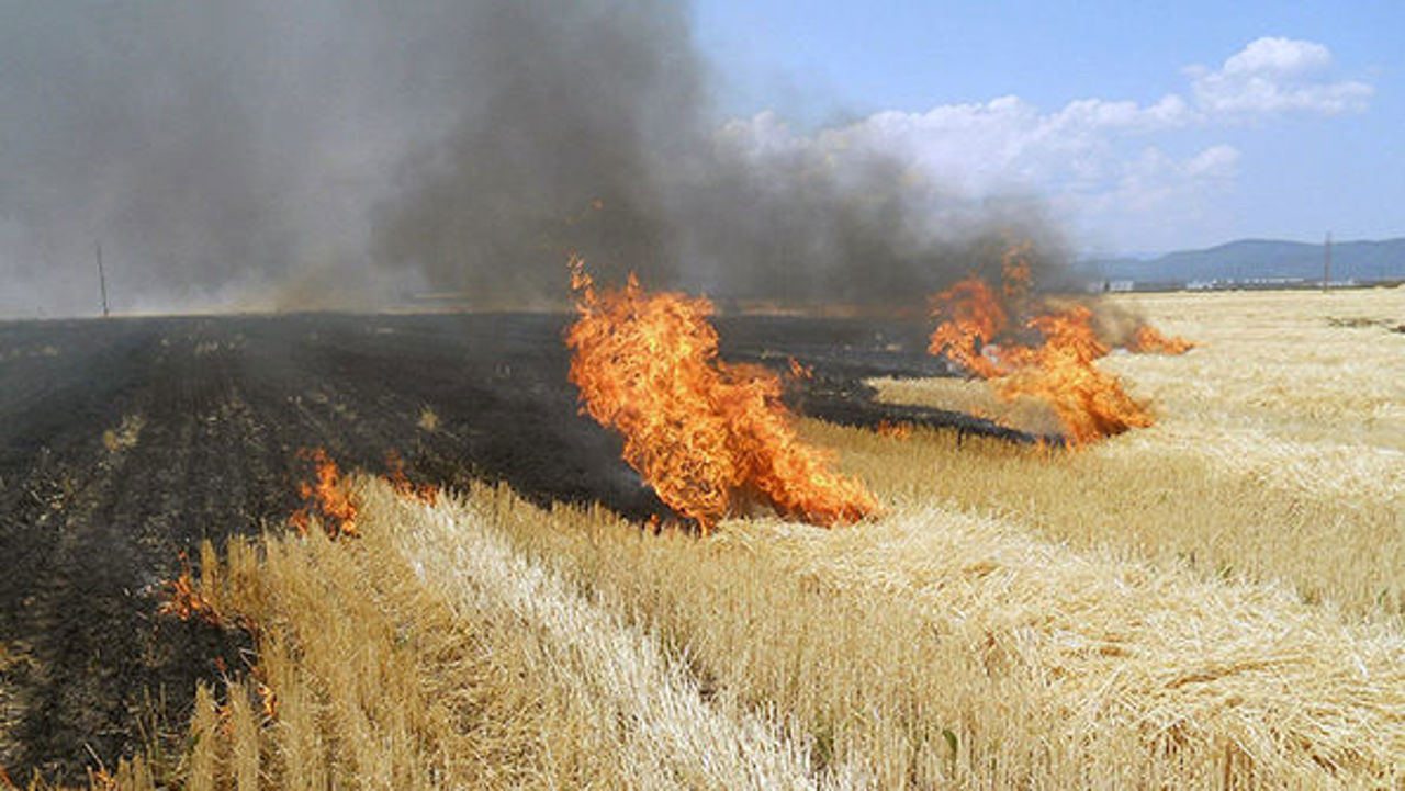 Alertă meteo! Cod galben de caniculă și pericol de incendiu