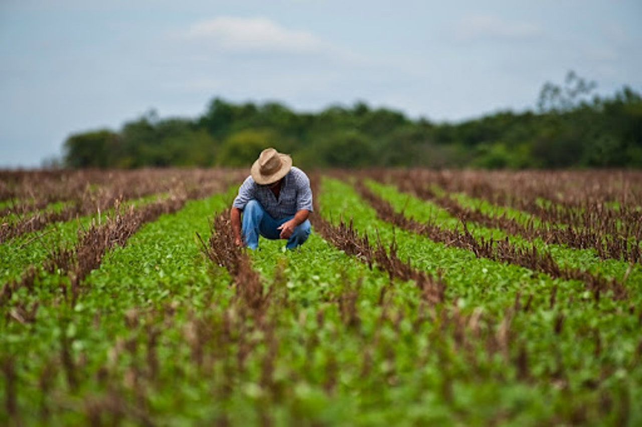 R. Moldova lansează patru proiecte în valoare de peste 900.000 de euro pentru a promova agricultura durabilă