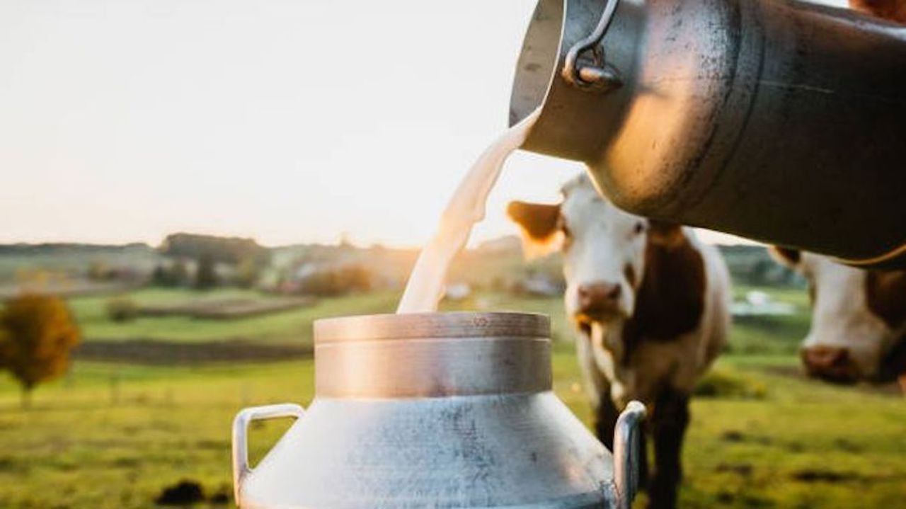 Moldova Milks Efforts to Boost Production