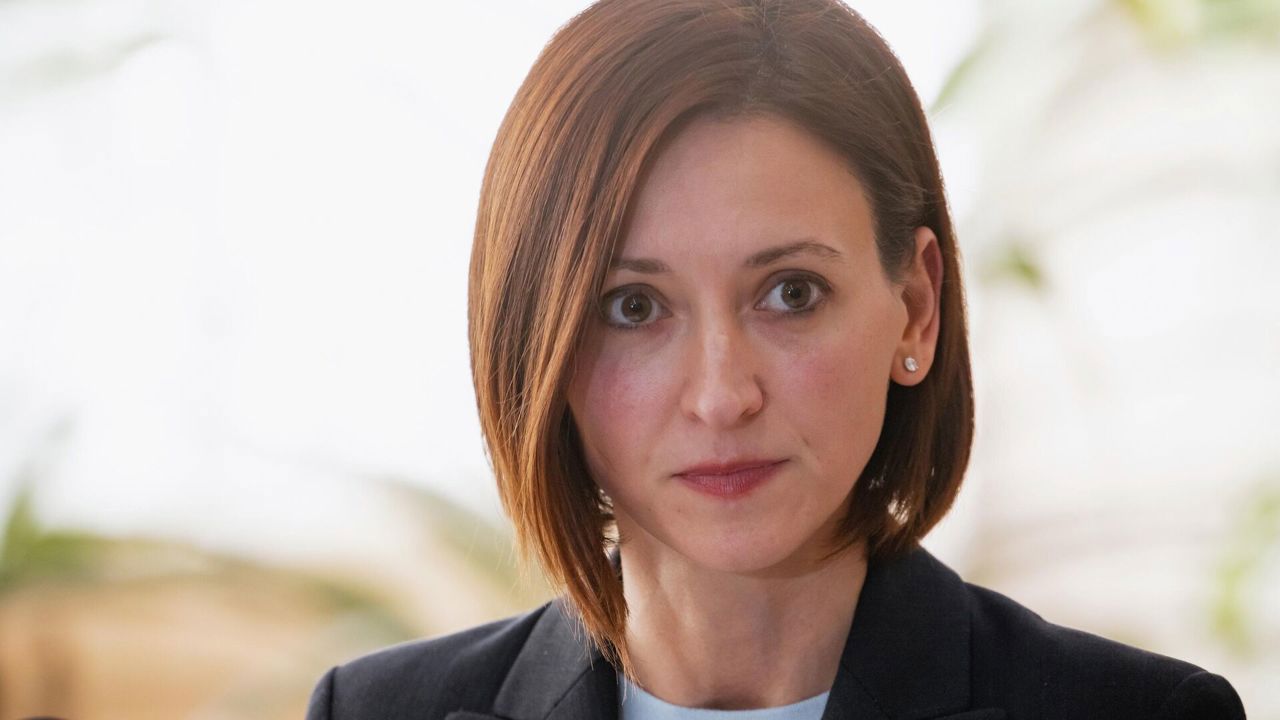 Veronica Dragalin says Vladimir Plahotniuc conviction reflects years of hard work