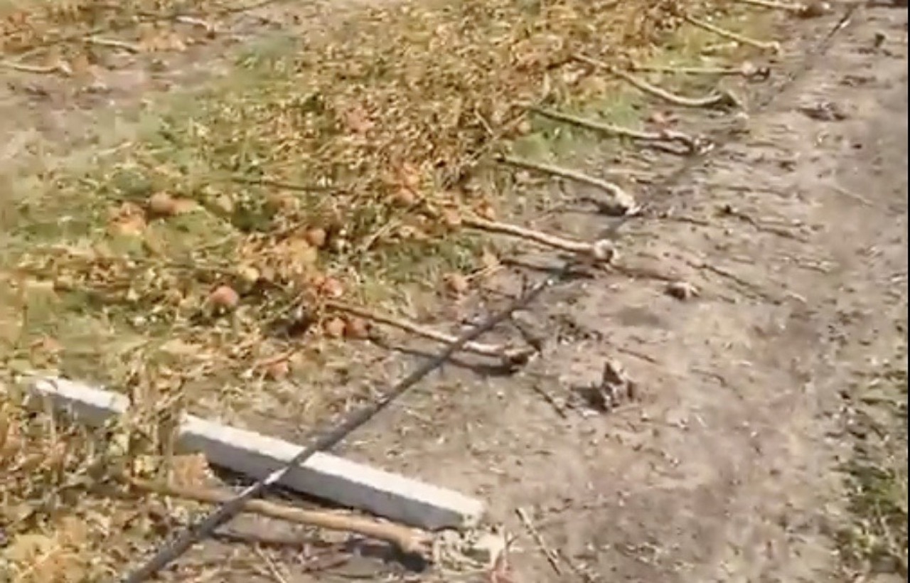 „Am avut mere și e distrus tot”. Ministrul Agriculturii s-a întâlnit cu producătorii agricoli din raionul Edineț