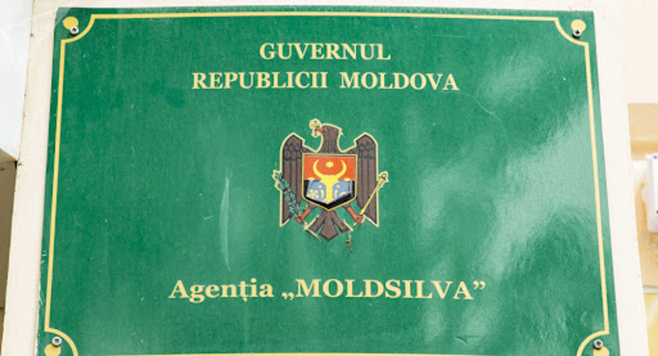 Un fost primar de la Ghidighici, numit șef la Agenția Moldsilva. Dorin Recean: Așteptarea noastră este ca domnul Durbală să fie eficient în a scoate corupția din sistemul „Moldsilva”