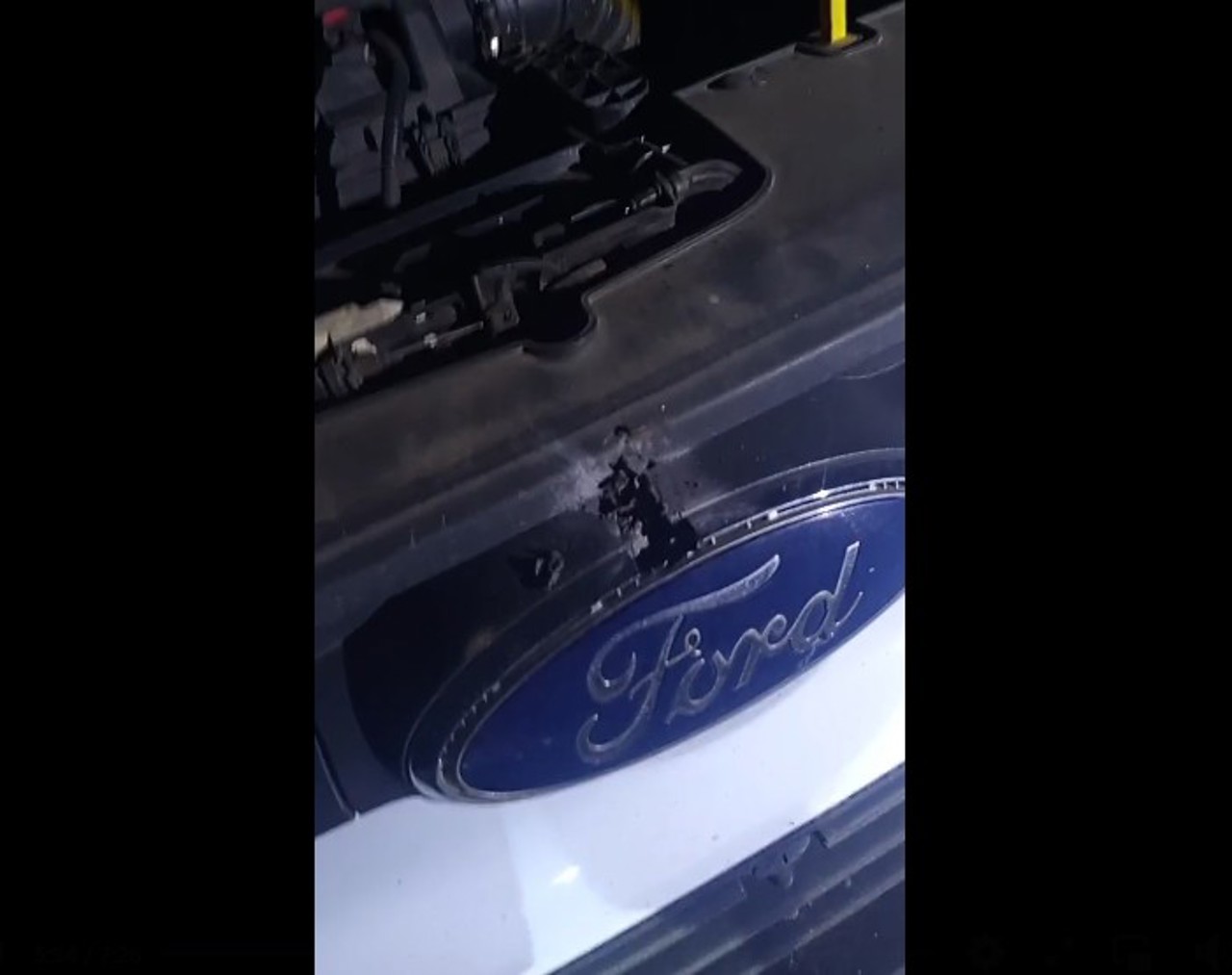 VIDEO | Incident in Căpriana: Environmental Guard member assaulted with rifle butt; police identify suspect