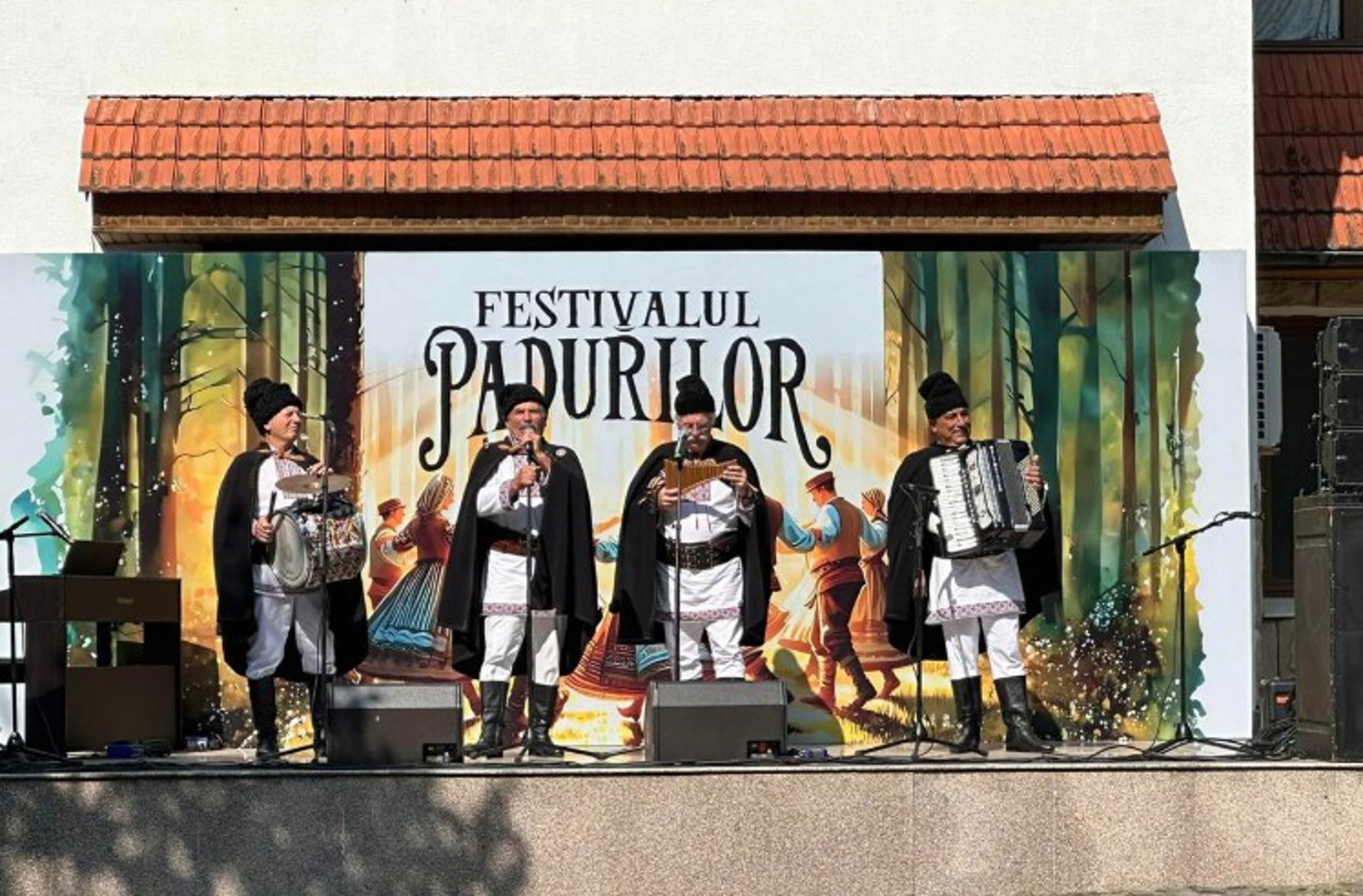 Condrița Forest Festival: Everything you need to know about the free shuttle bus and event programme