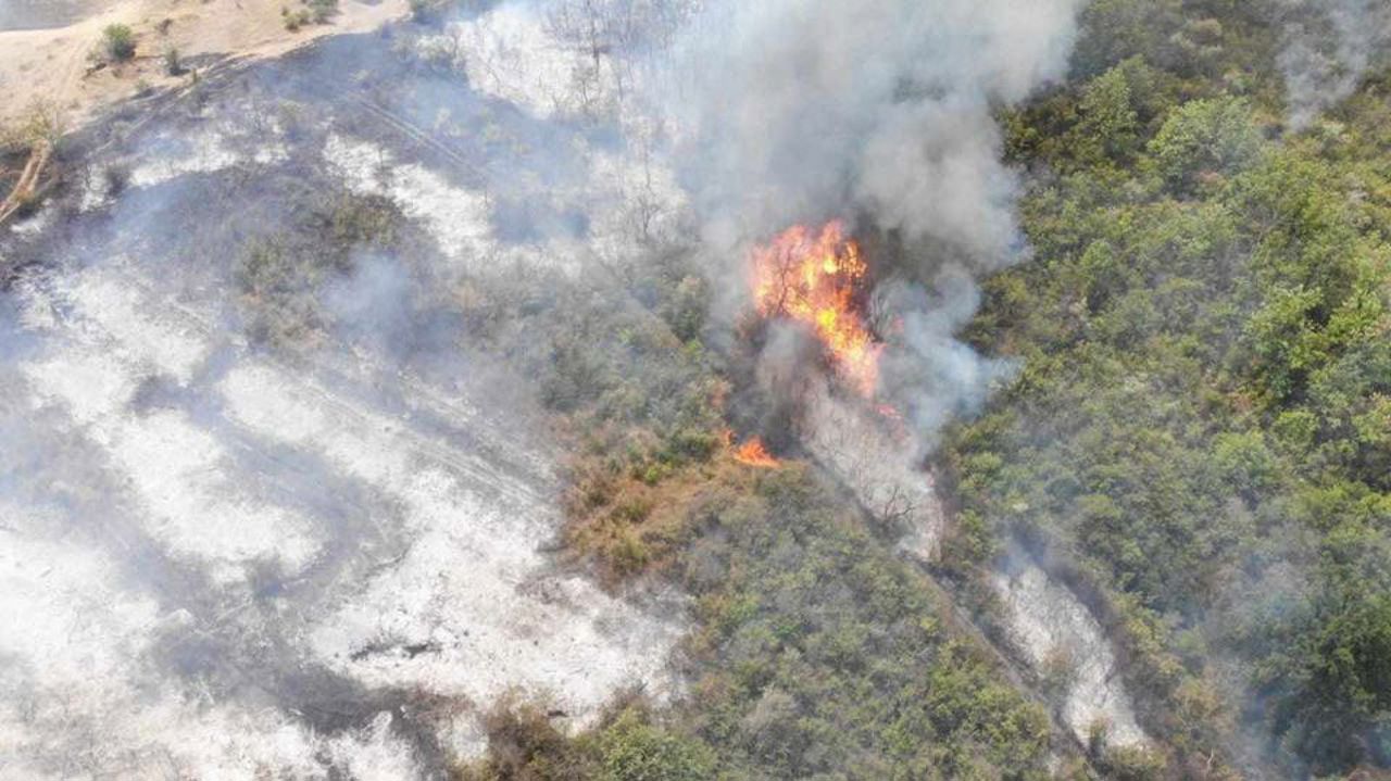 Apelul ministrului Mediului, după incendiul care a mistuit opt hectare de pădure din Cahul: „Fiecare neatenție poate provoca o tragedie”