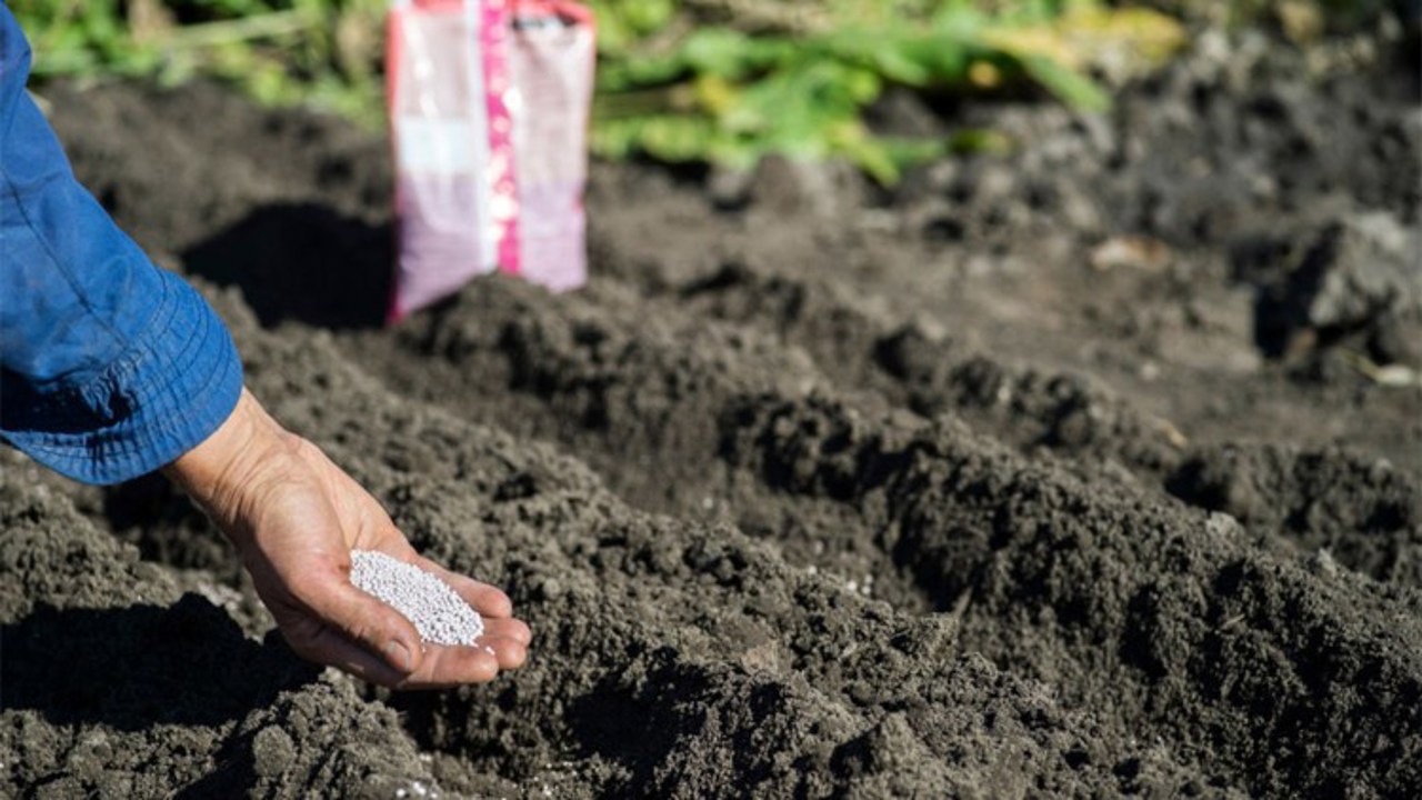 Global fertilizer price spikes set to impose €51 million burden on Moldovan farmers