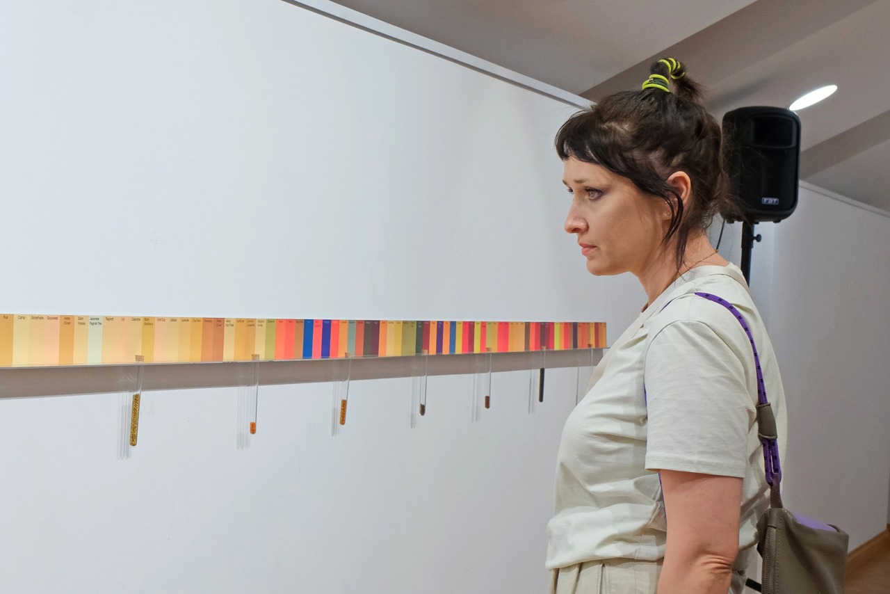Expoziție de artă conceptuală la Chișinău: Un apel pentru protejarea mediului prin sunetul albinelor și polenul florilor