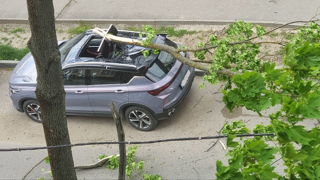 Consecințele vântului puternic: Drumuri blocate de copaci doborâți, pomi căzuți peste mașini și puncte de trecere a frontierei blocate  