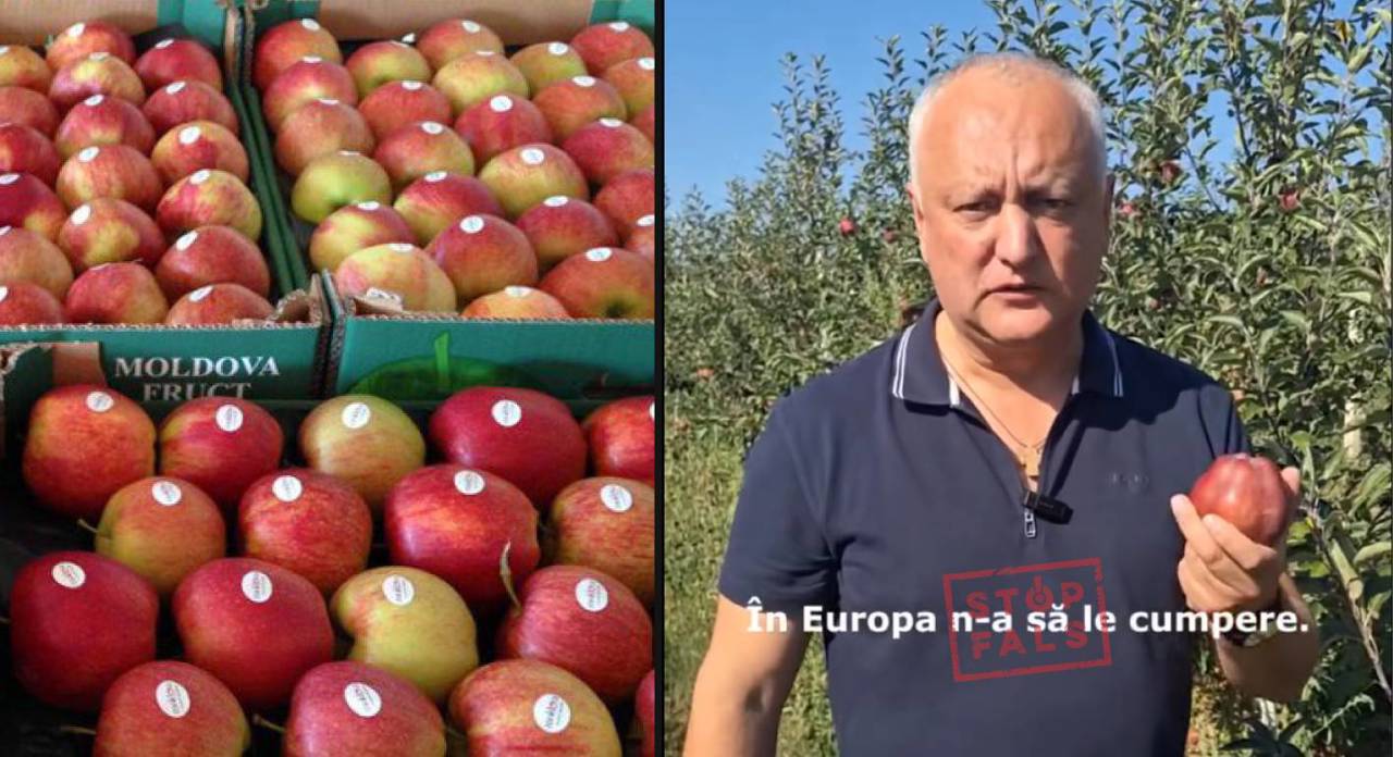 Игорь Додон пойман на новой фальсификации. НБС: экспорт молдавских яблок в ЕС вырос в 24 раза