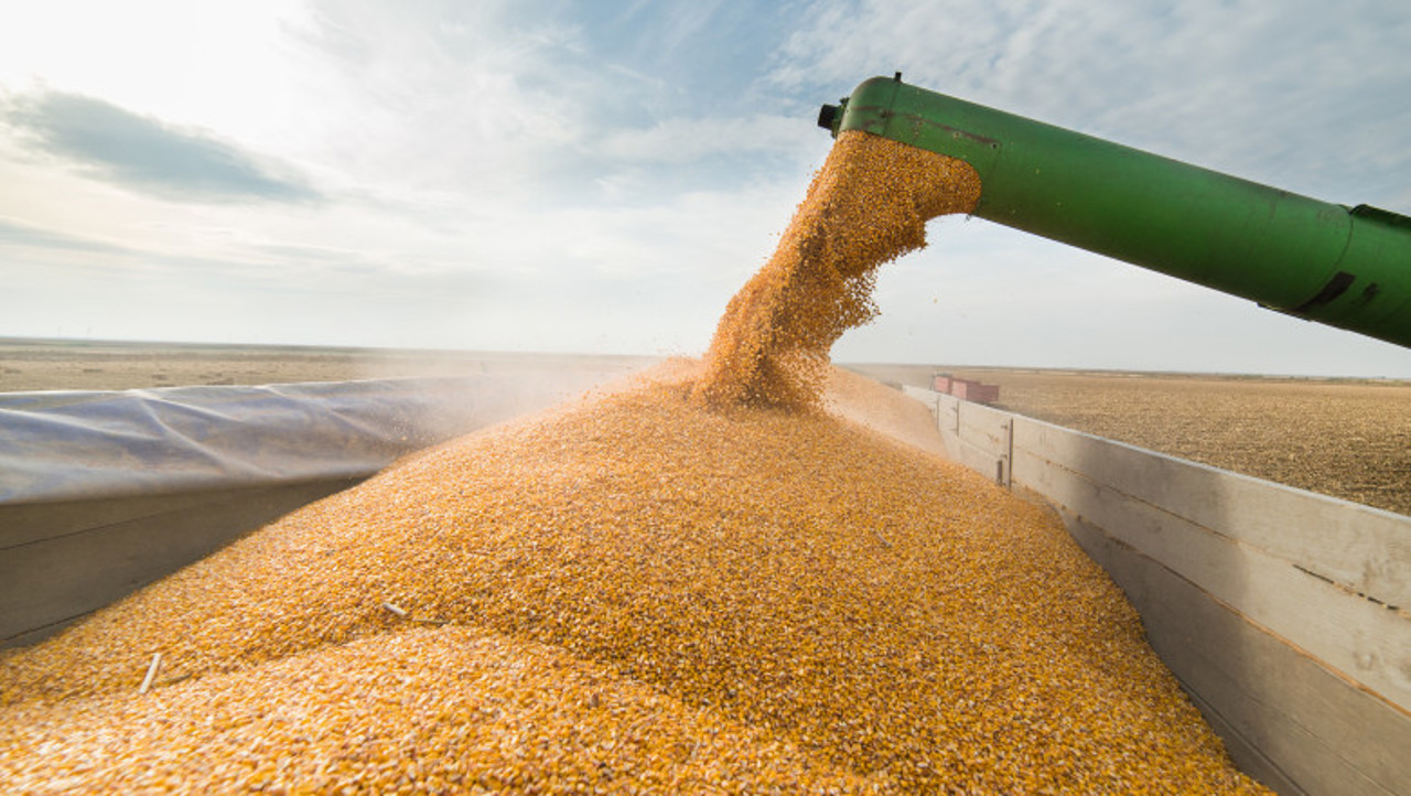 US, Romania, Moldova work to boost Ukraine's Danube grain exports