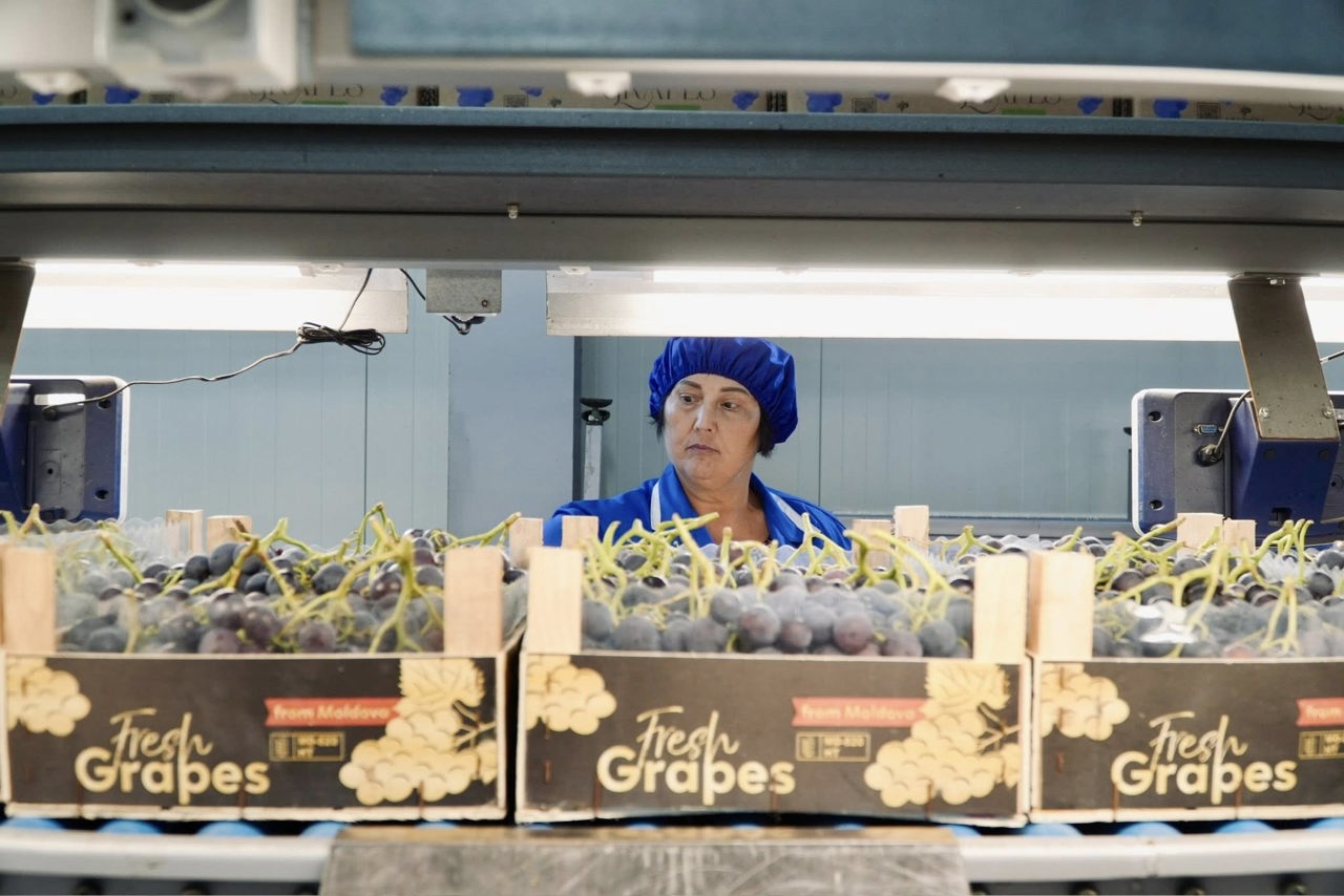 R. Moldova a exportat vinuri în peste 70 de țări, iar struguri - în 16, de la începutul anului 