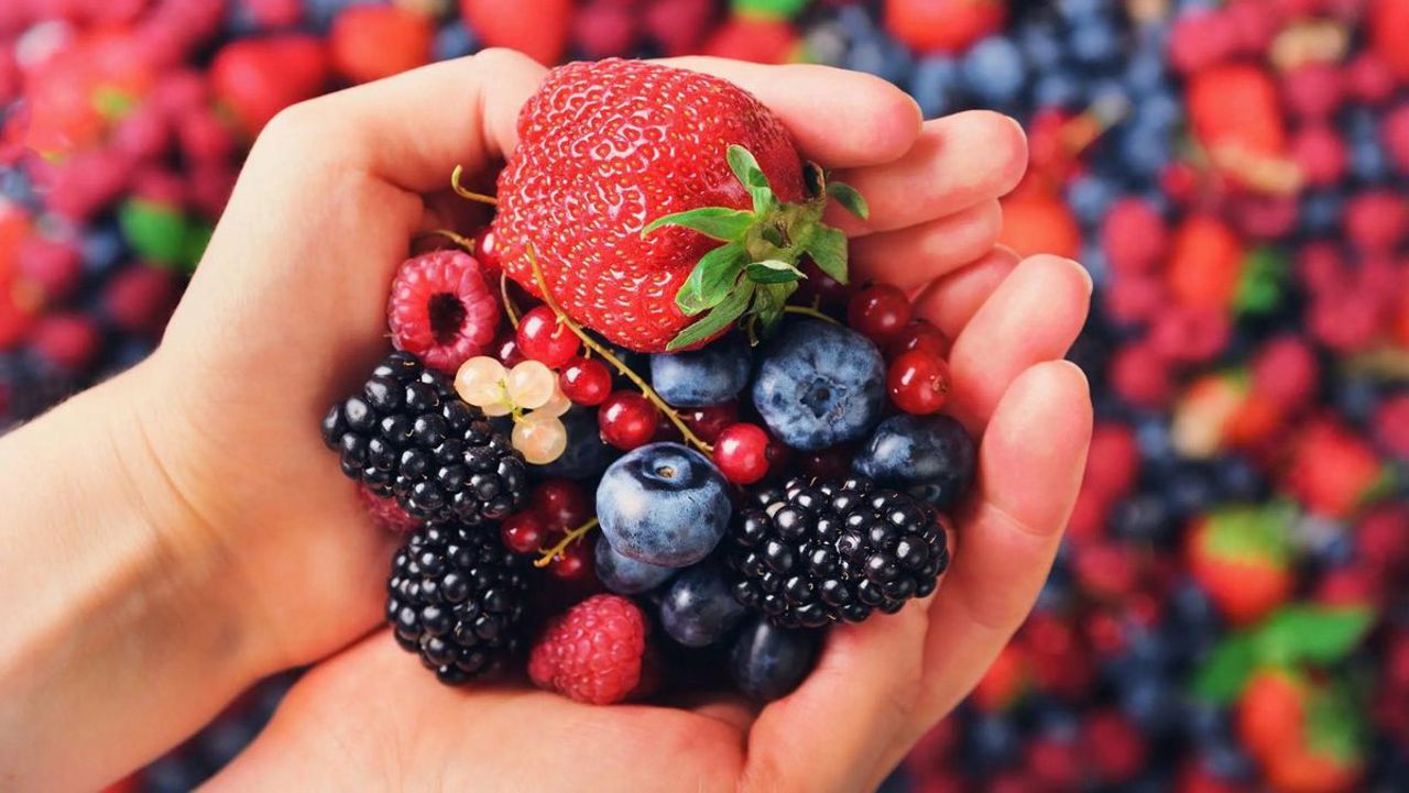 Berry consumption in Moldova quadrupled in under 10 years
