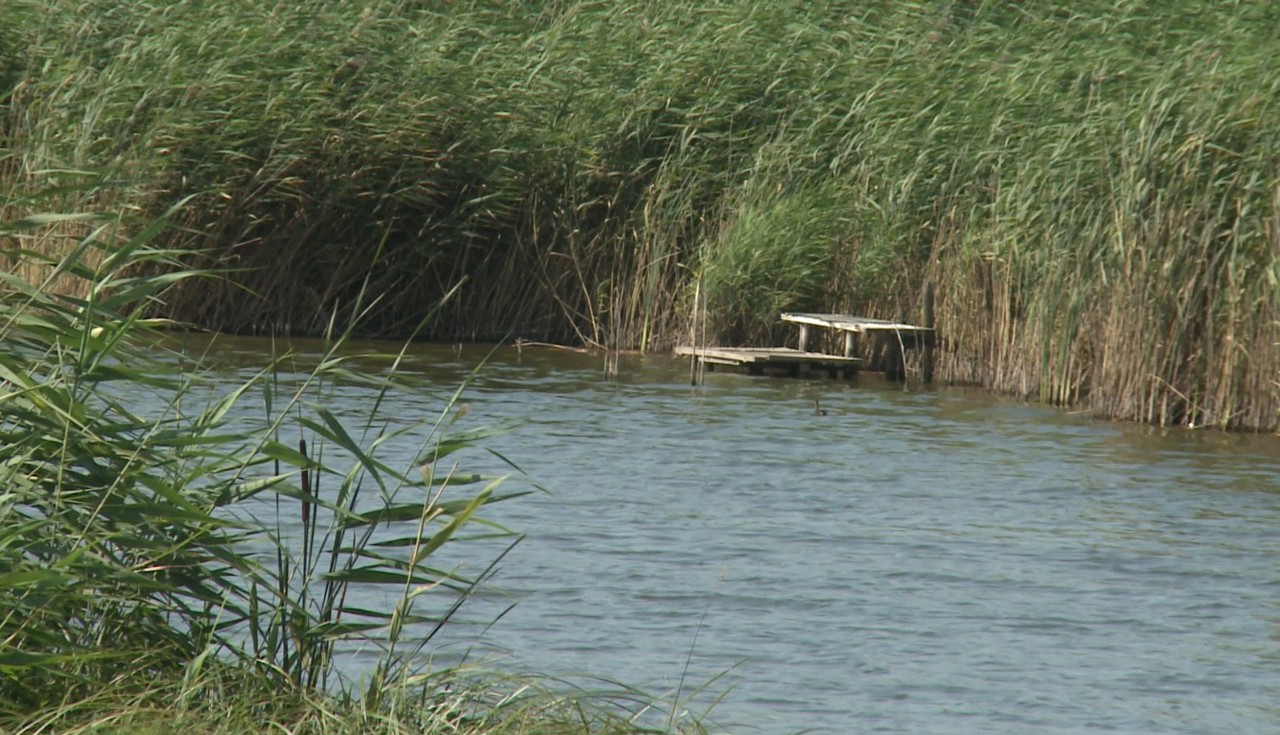 Frați din Chiperceni, înecați într-un lac din sat. În localitate vor fi declarate două zile de doliu