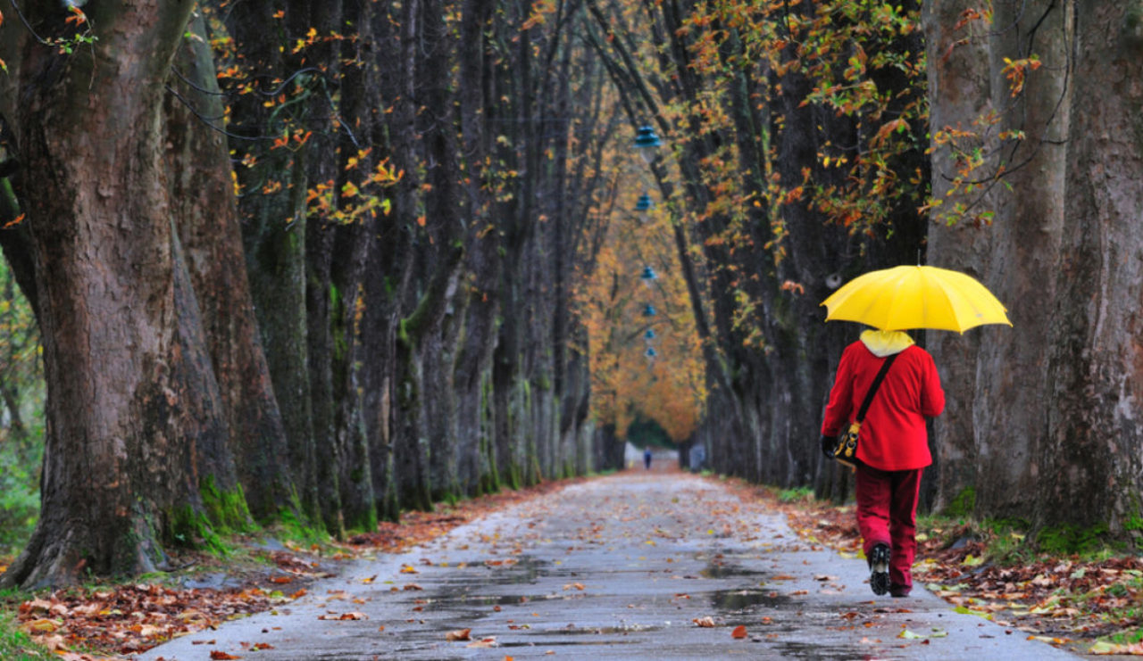 WEATHER// Yellow code of weather instability continues: it will rain throughout the country