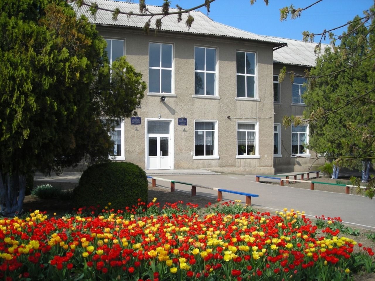 „Ultimul bastion al limbii române”: părinții din Utkonosivka cer salvarea liceelor românești din regiunea Odesa