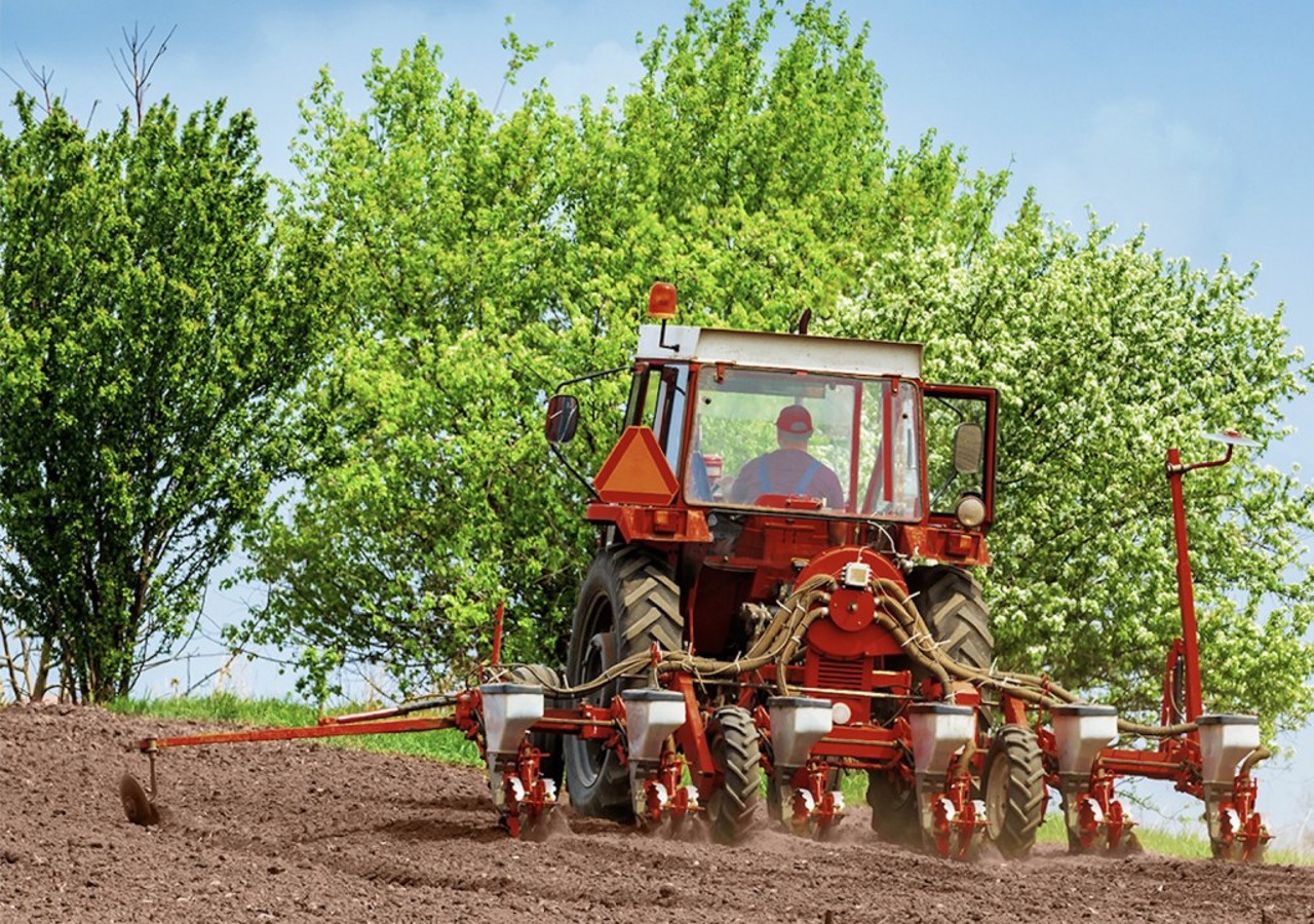 Agricultura sustenabilă | Tot mai mulți fermieri din țară aleg practicile ecologice