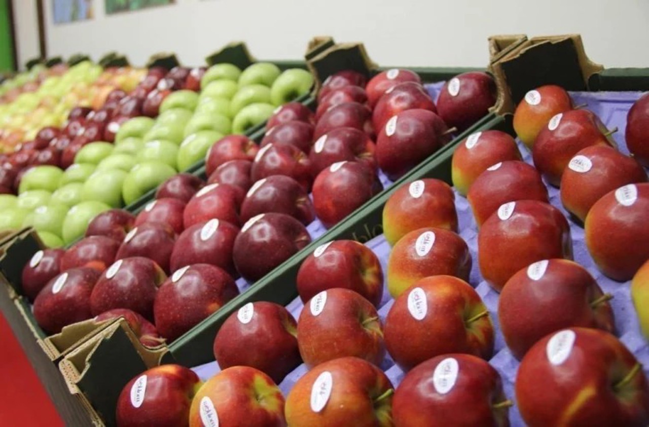 Moldova's railway tariff hike sparks export competitiveness fear