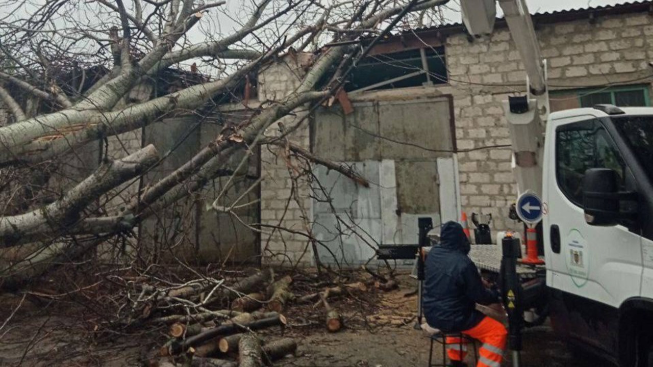 Floods, fallen trees, and traffic jams hit Chisinau after recent rains
