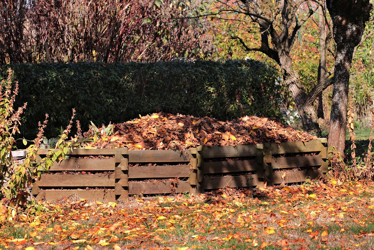 Leaf burning remains common despite the ban; composting is the green, effective alternative