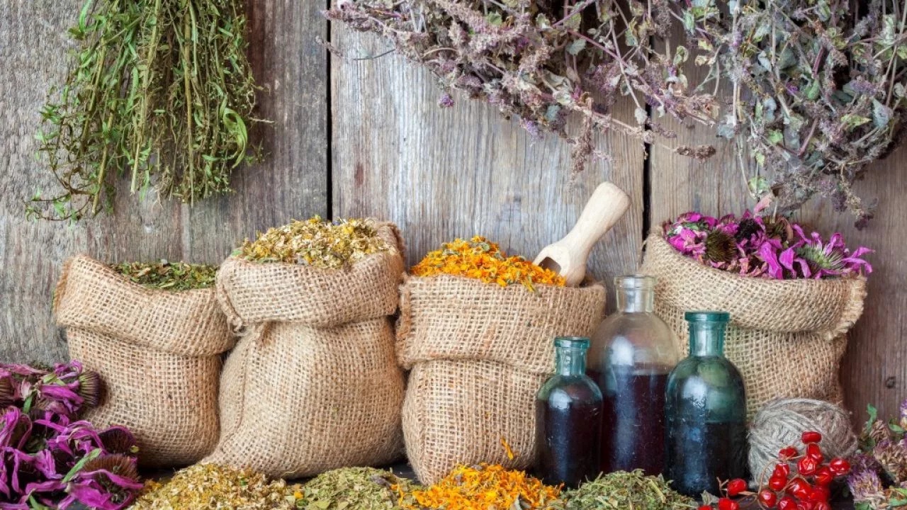 Young Moldovan entrepreneur produces teas, supplements, and cosmetic products from medicinal herbs