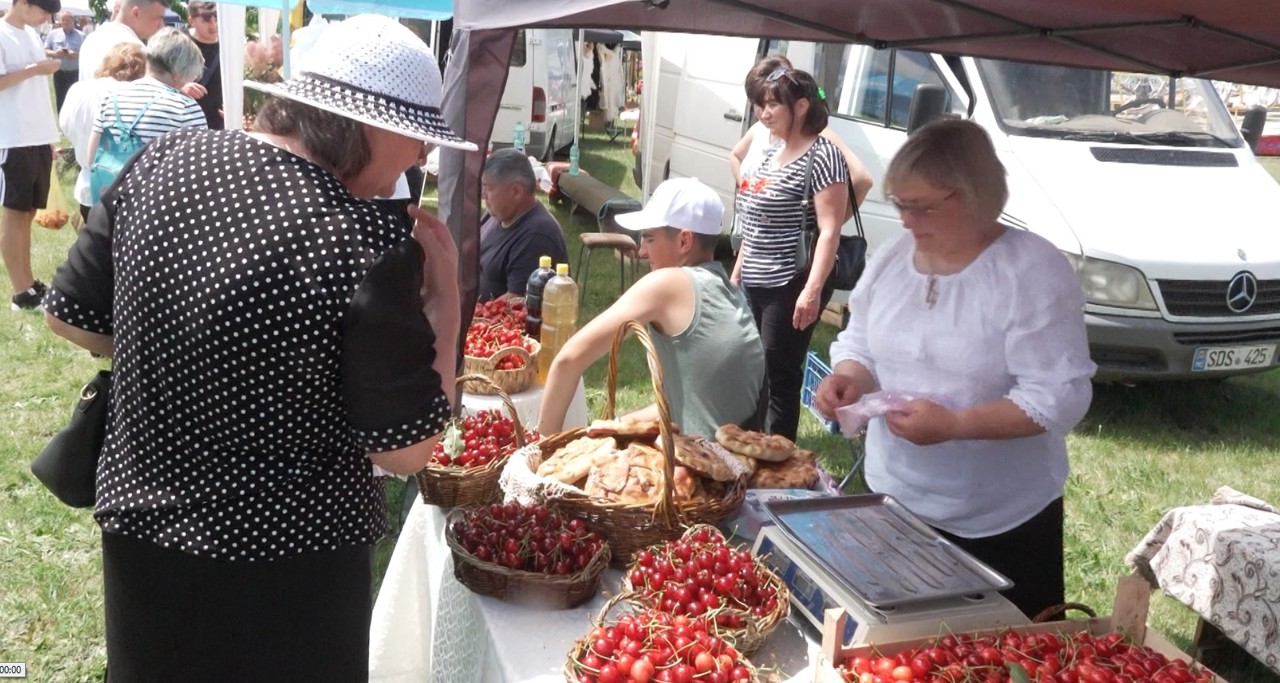 Festivalul Cireșelor și Vărzărilor la Ruseștii Noi: Vizitatorii s-au înghesuit să cumpere direct de la producătorii locali