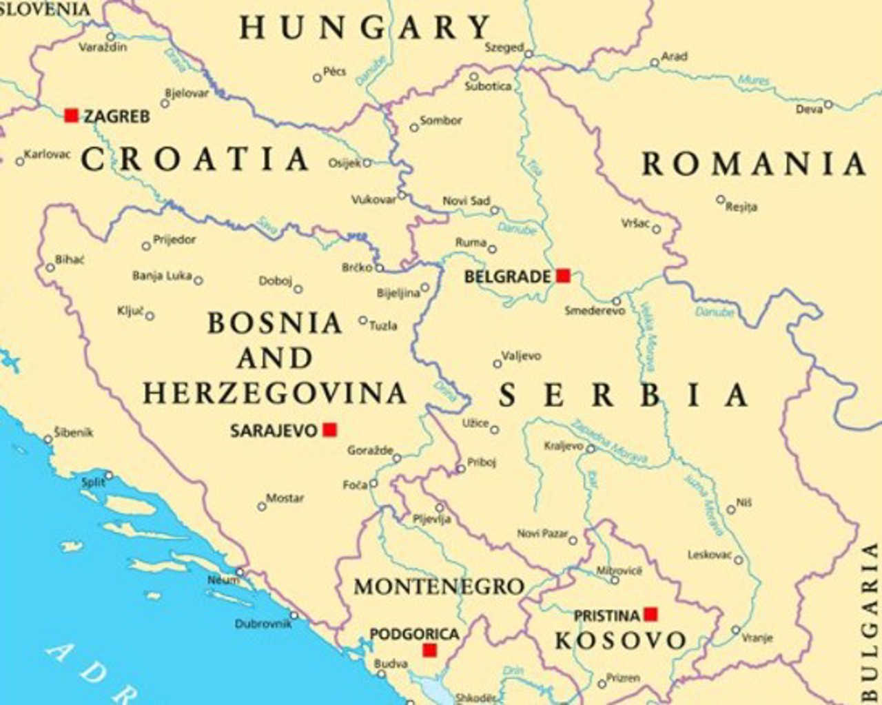 Ministrul de Externe al Bosniei și Herțegovinei: Există dovezi că grupuri de moldoveni au fost pregătiți pentru proteste, în numele și pe banii Federației Ruse