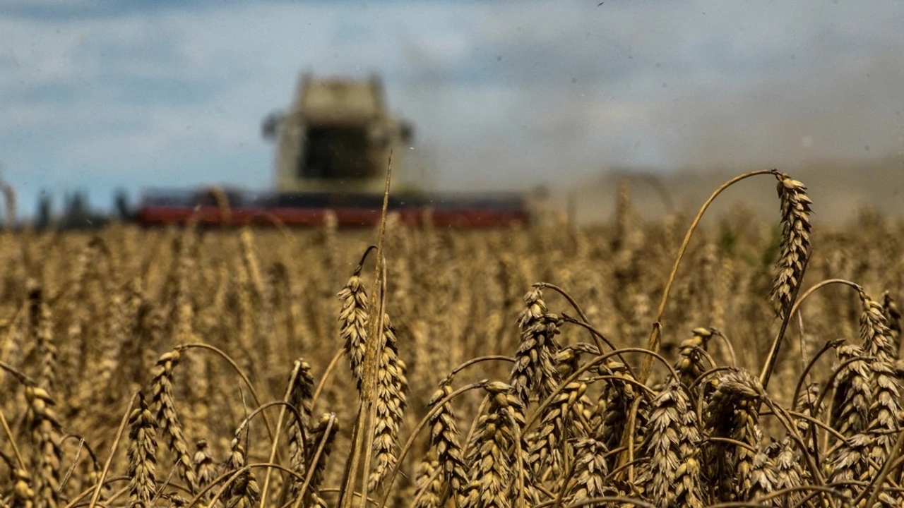 Romania introduces additional control measures for cereals from Ukraine