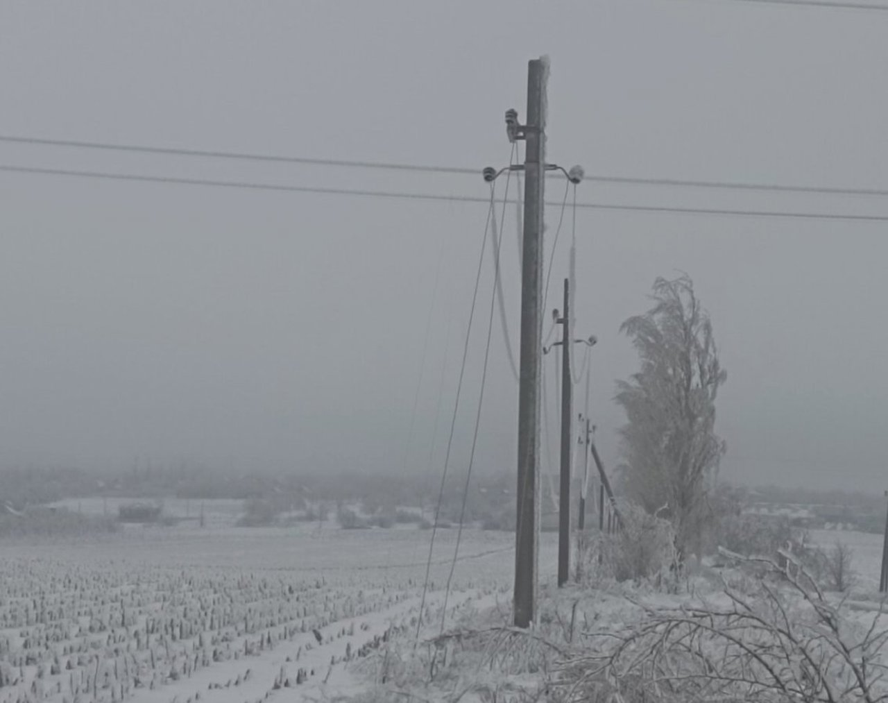 Ninsori, vânt puternic și ghețuș: drumuri periculoase și întreruperi masive de energie electrică