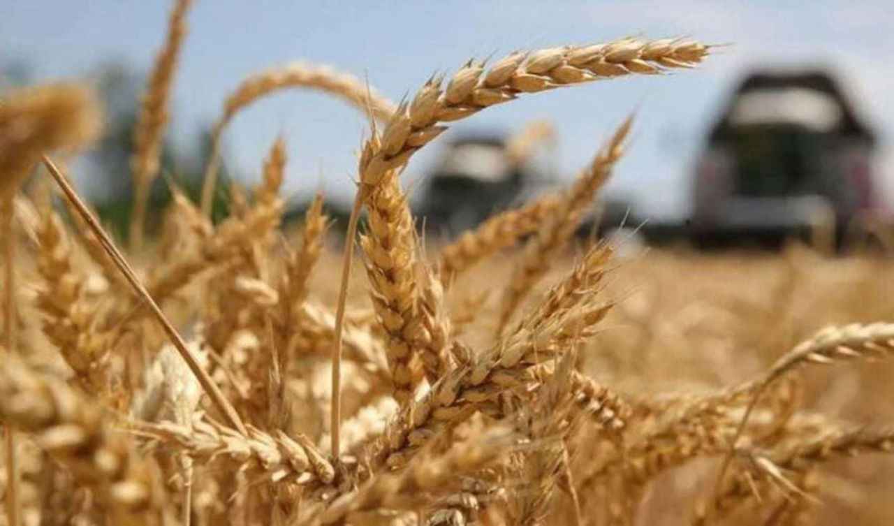 Southern farmers seek aid; government pledges support
