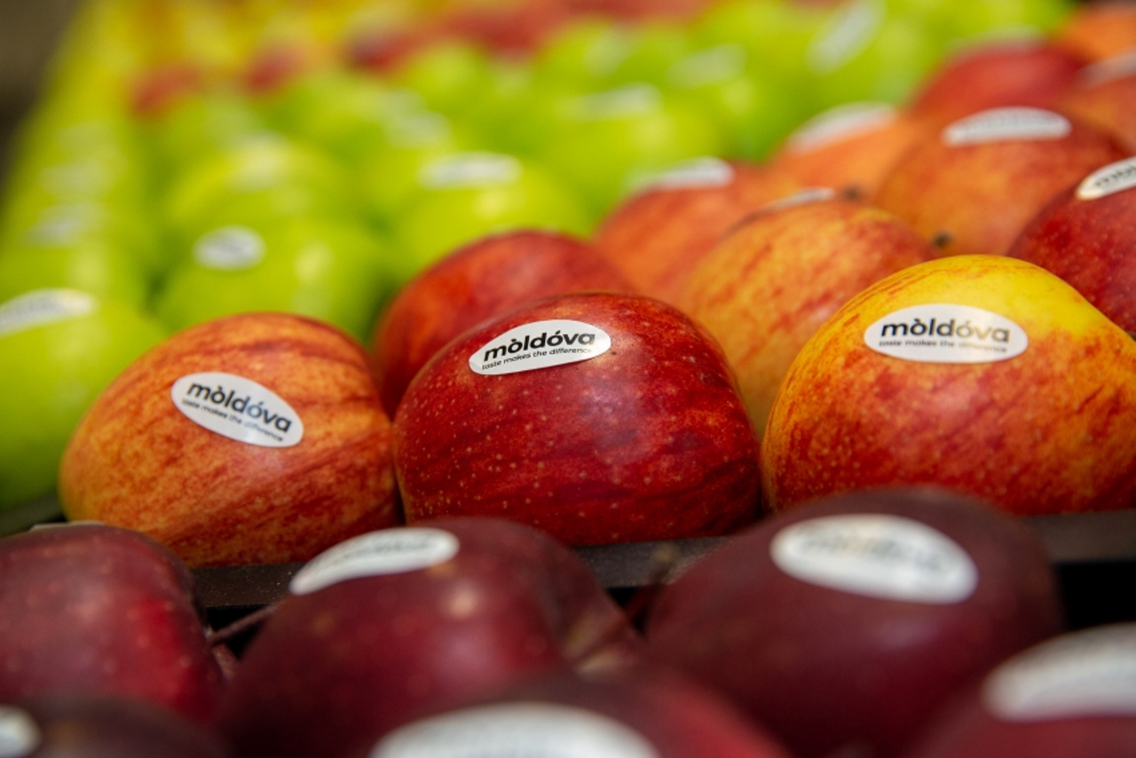 Молдавская продукция пользуется большим спросом на рынке ЕС. Разъяснения министра сельского хозяйства и пищевой промышленности