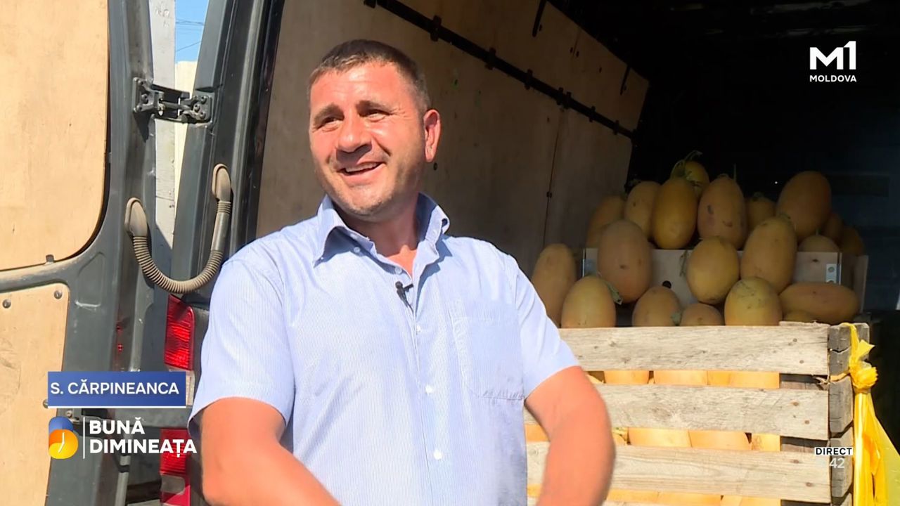 „Dacă pui suflet, rodește frumos”: Povestea unui fermier care cultivă pepeni galbeni de peste un deceniu