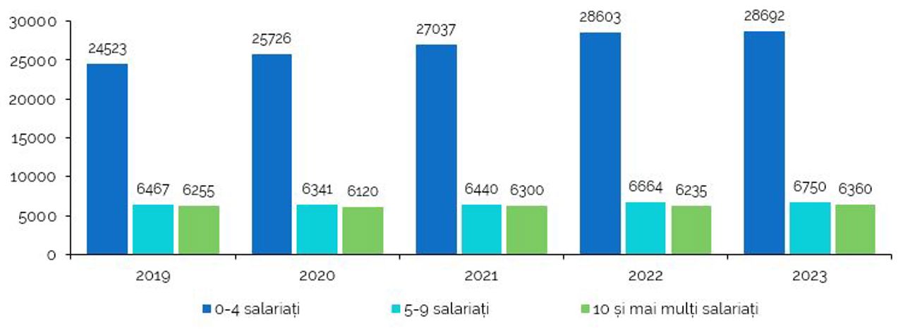 Numărul întreprinderilor active pe clase de mărime, mii de întreprinderi
