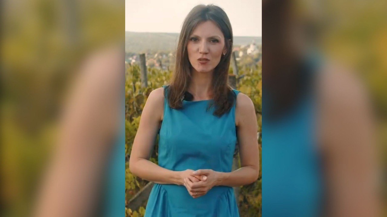 ELECTIONS 2025 // Independent Tatiana Crețu joins parliamentary race