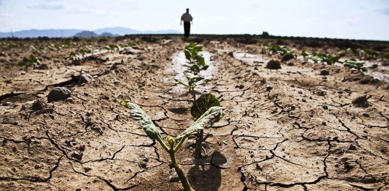 Schimbările climatice: provocări și soluții pentru agricultura din Republica Moldova