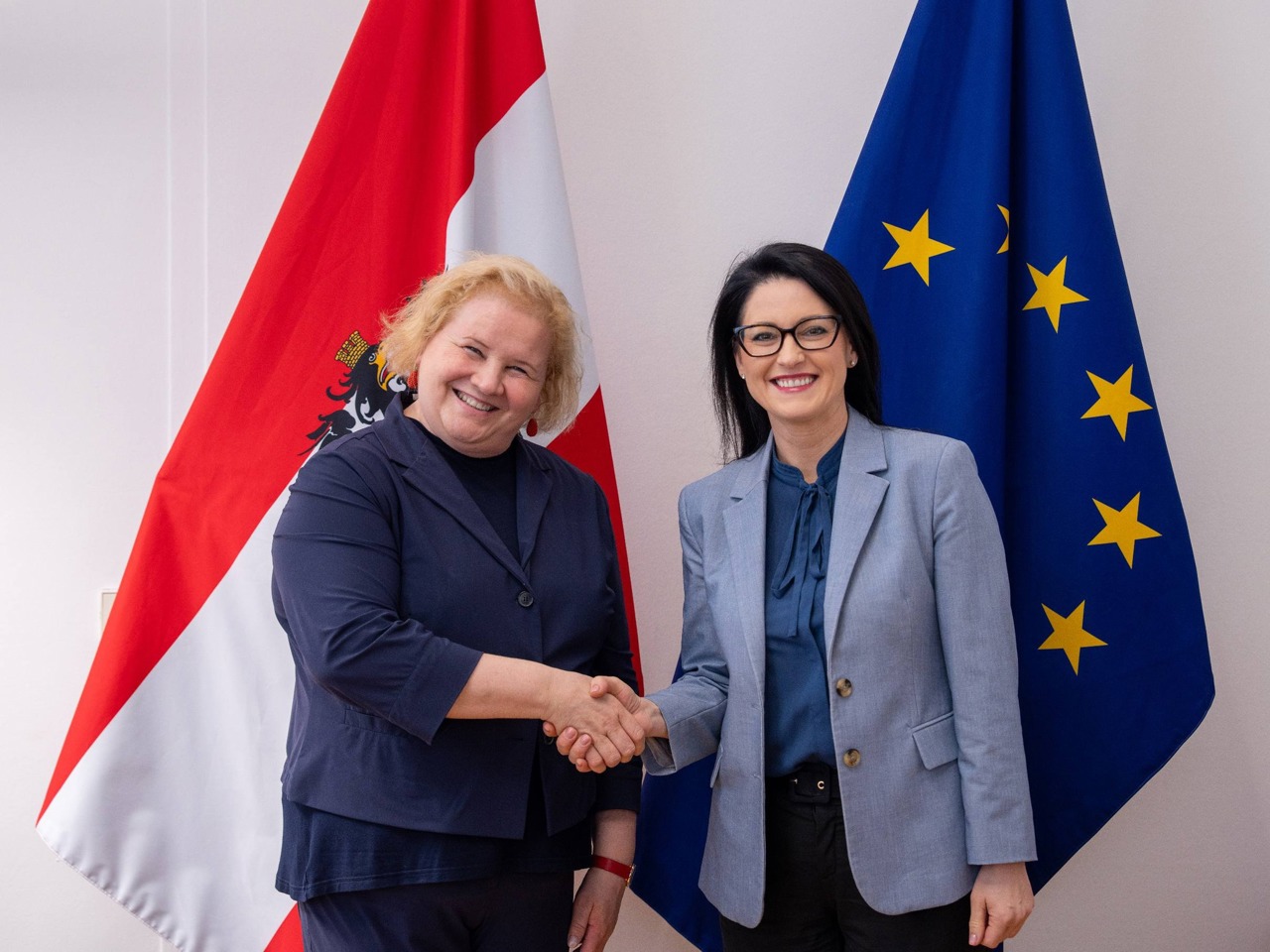 R. Moldova și Austria extind colaborarea în domeniul muncii și protecției sociale