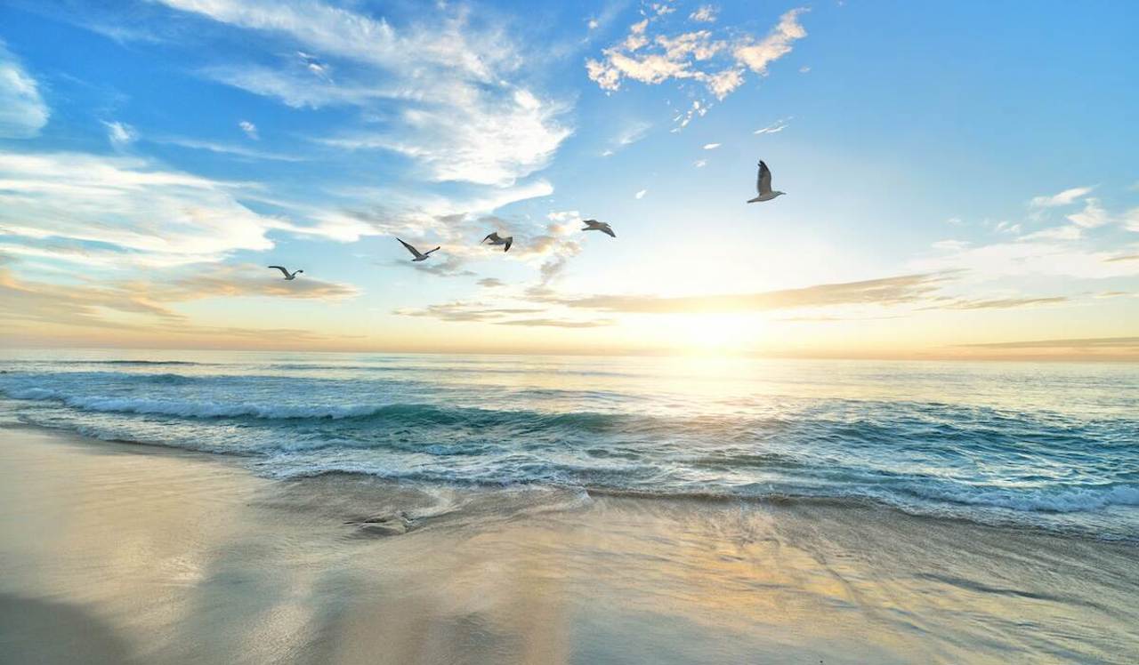 Februarie 2026, printre cele mai calde înregistrate vreodată, cu precipitații extreme în Europa