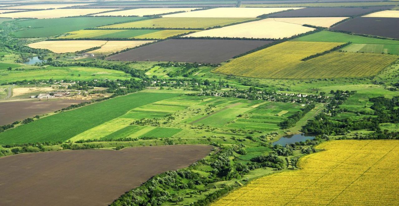 Guvernul protejează terenurile agricole de calitate superioară. Reguli noi pentru schimbarea destinației