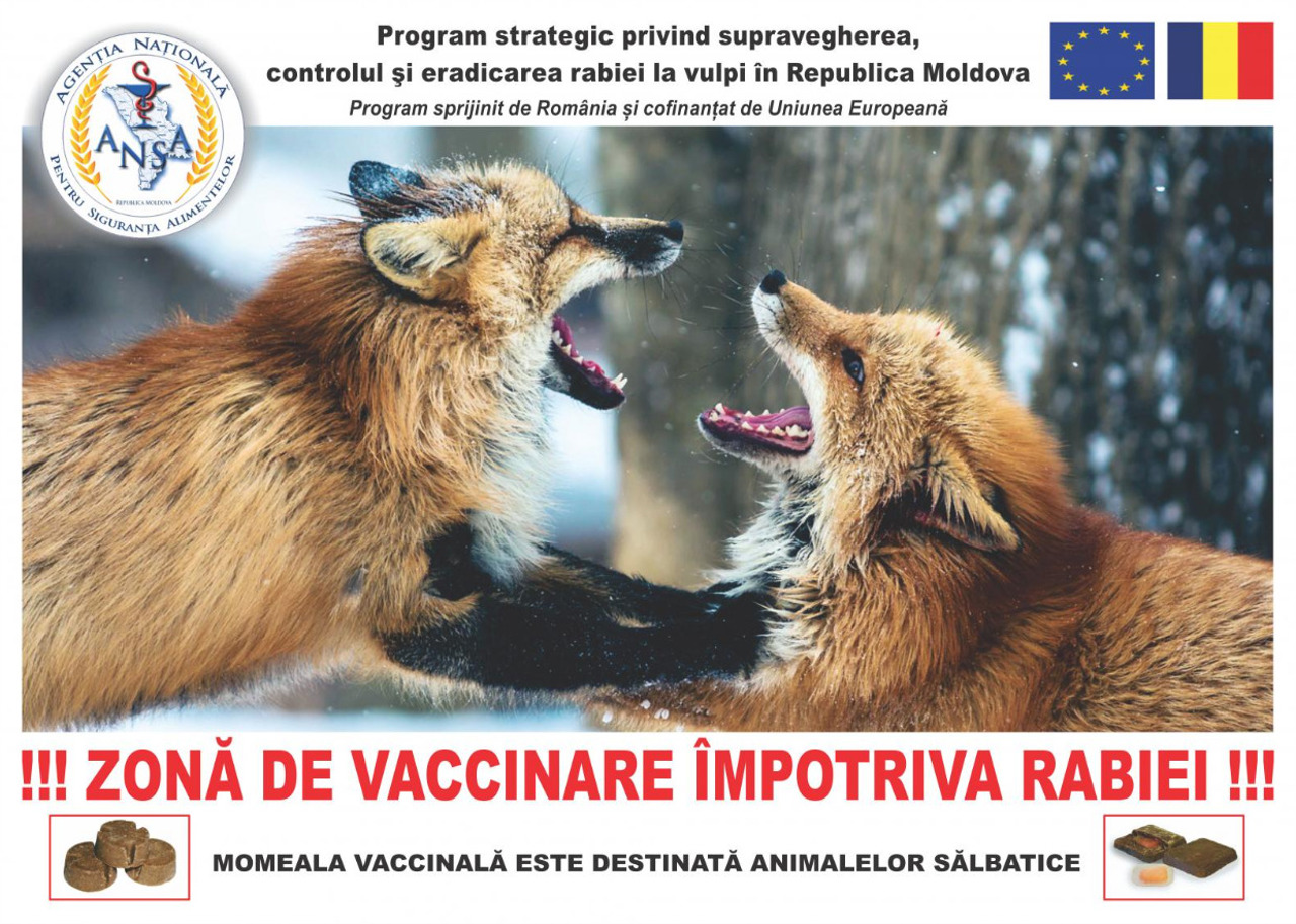 Wild foxes vaccinated against rabies