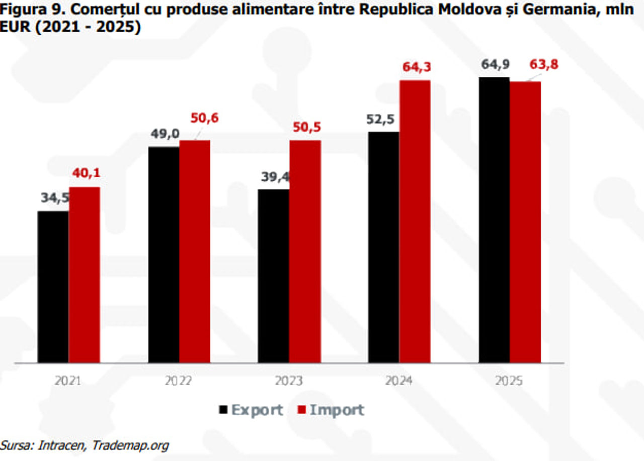Raport Export Vision Germania