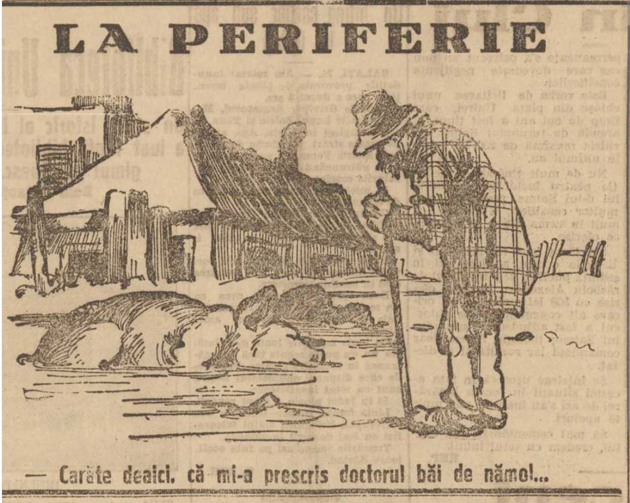 Revista presei interbelice | Umor de acum un secol: Când porcul și țăranul împărțeau aceeași „stațiune balneară”