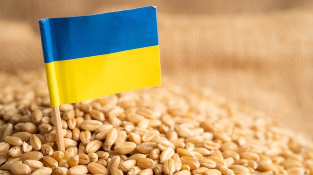 Russia's attacks on Ukraine's Danube ports drive up wheat prices