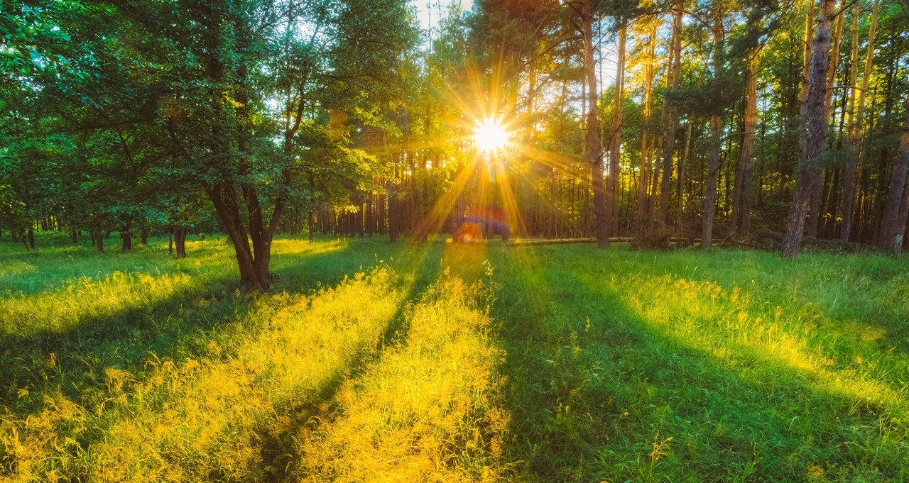 Serviciul Hidrometeorologic de Stat anunță Cod galben de Caniculă. Se așteaptă până la 34°C în următoarele zile 