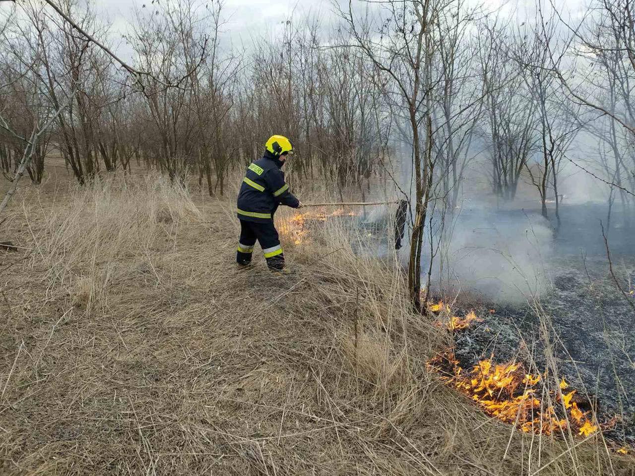 Pompierii au lichidat mai multe incendii de vegetație: Peste 30 de hectare de teren au fost compromise
